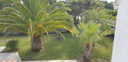 20240206_143654_small